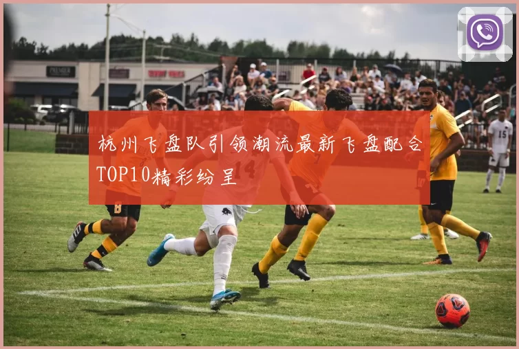 杭州飞盘队引领潮流最新飞盘配合TOP10精彩纷呈