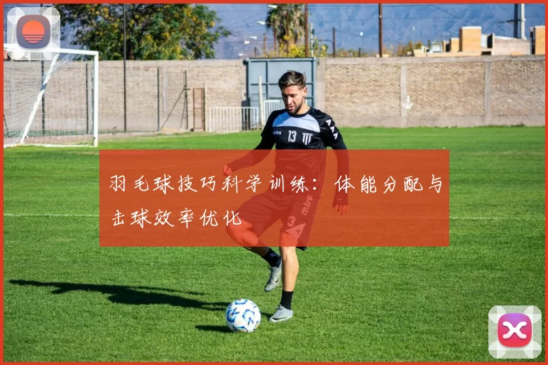 羽毛球技巧科学训练：体能分配与击球效率优化