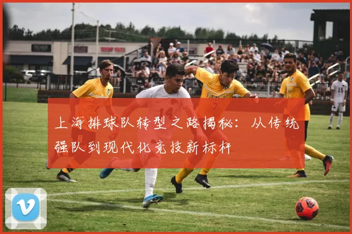 上海排球队转型之路揭秘：从传统强队到现代化竞技新标杆