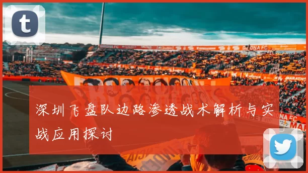 深圳飞盘队边路渗透战术解析与实战应用探讨