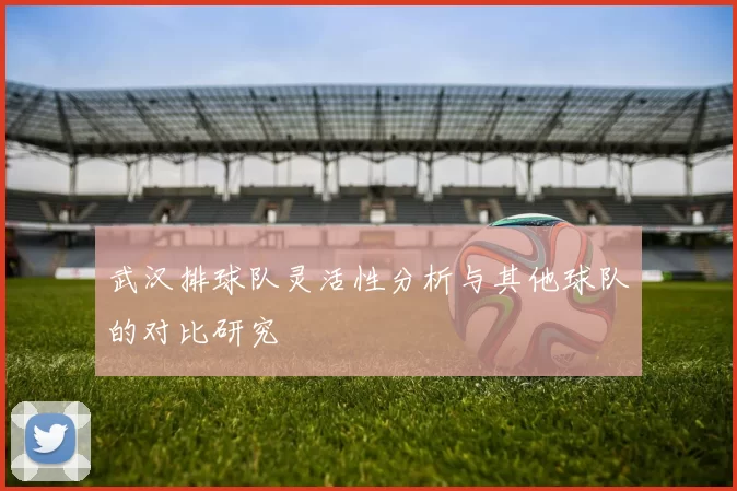 武汉排球队灵活性分析与其他球队的对比研究