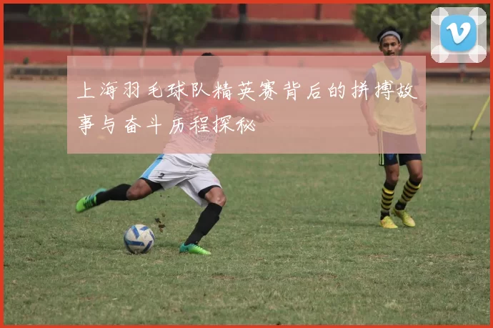 上海羽毛球队精英赛背后的拼搏故事与奋斗历程探秘