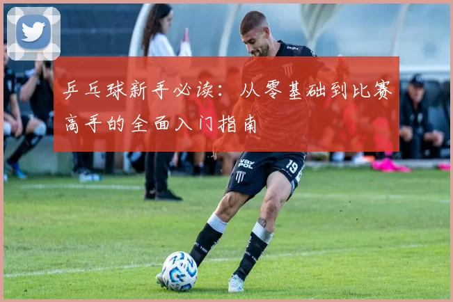 乒乓球新手必读：从零基础到比赛高手的全面入门指南