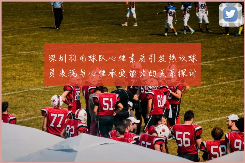 深圳羽毛球队心理素质引发热议球员表现与心理承受能力的关系探讨