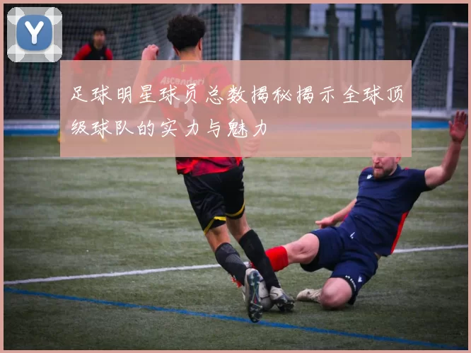足球明星球员总数揭秘揭示全球顶级球队的实力与魅力
