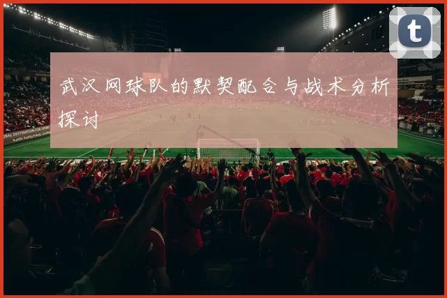 武汉网球队的默契配合与战术分析探讨