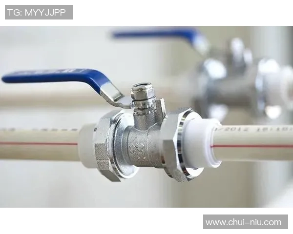 水管阀门的种类、功能及安装维护全解析,确保家庭水路安全畅通